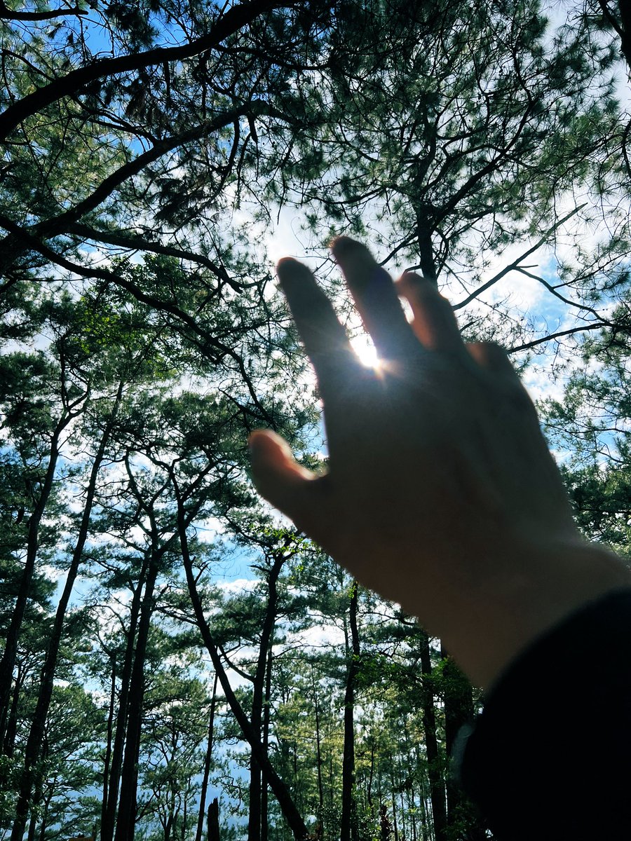 jack ôlero tweet media