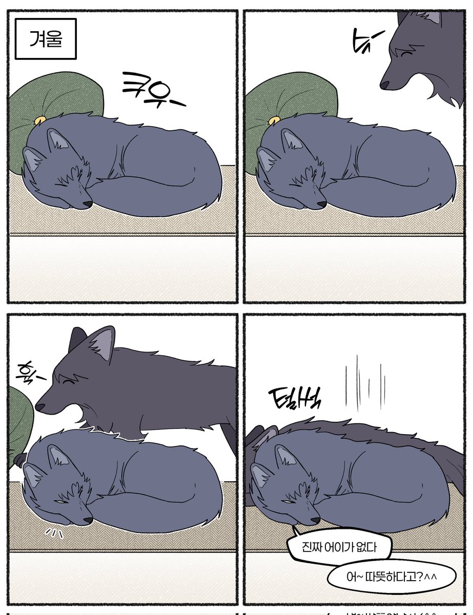 삼세🦝 tweet media