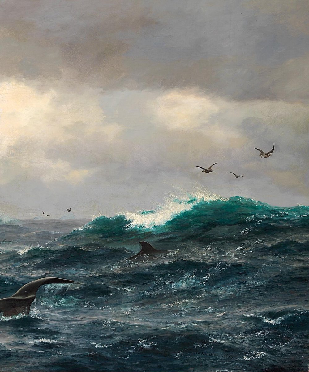 Academia Aesthetics tweet media