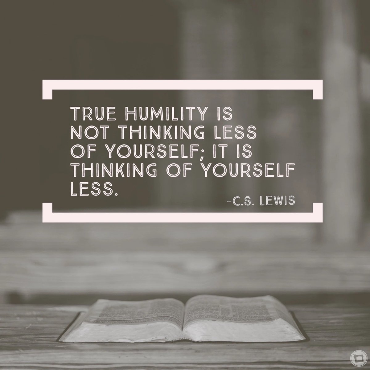 Robin Cottone tweet media