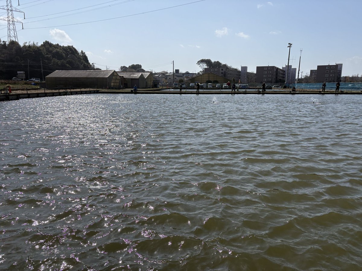 tnotou's tweet photo. 今日の座間さんは春一番の中朝から好釣、ちょっと落ち着いてから風上から風下へ移動してから、より大爆釣でした！
でも大風を正面に受けて釣りをしたお陰で、花粉症大爆発！鼻ズルズル…毎年の事とは言えどうにかならないものですかね…
#アメイズトラウトエリア https://t.co/vizejYek6M