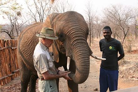 Allan Savory spent decades studying desertification.

His conclusion, after running trials across Africa: the deserts were not spreading because of overgrazing. They were spreading because of undergrazed, poorly managed land : land from which animals had been removed.

Grasslands