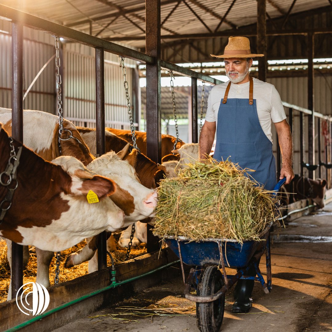 WOAH_MiddleEast's tweet photo. #DYK? #VeterinaryServices safeguard public health & trade by detecting diseases early, ensuring safe food & guiding responsible medicine use across the #MiddleEast.
We support countries with standards, training & tools to strengthen national systems.
🔗: https://t.co/hwfbM9Gc2q https://t.co/oc9KVn3Wii