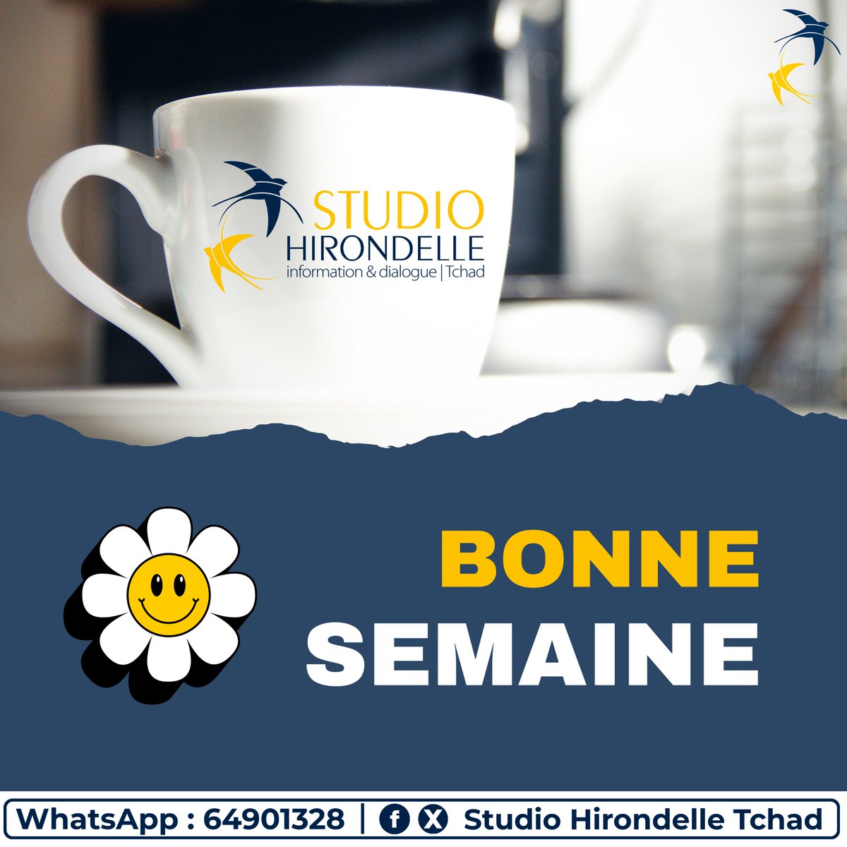🎉 Excellente semaine à toutes et à tous !