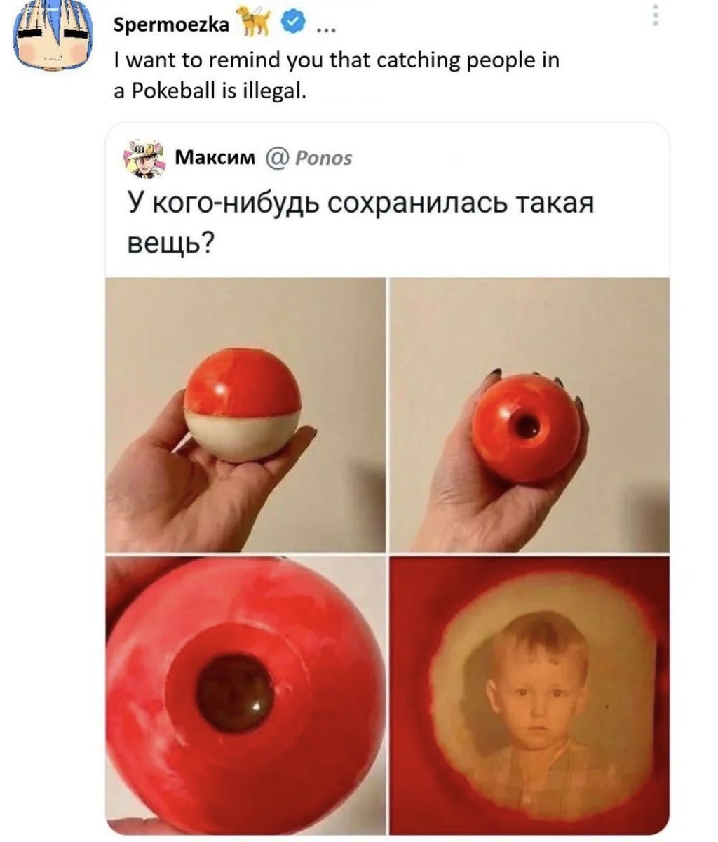 pokehaven tweet media