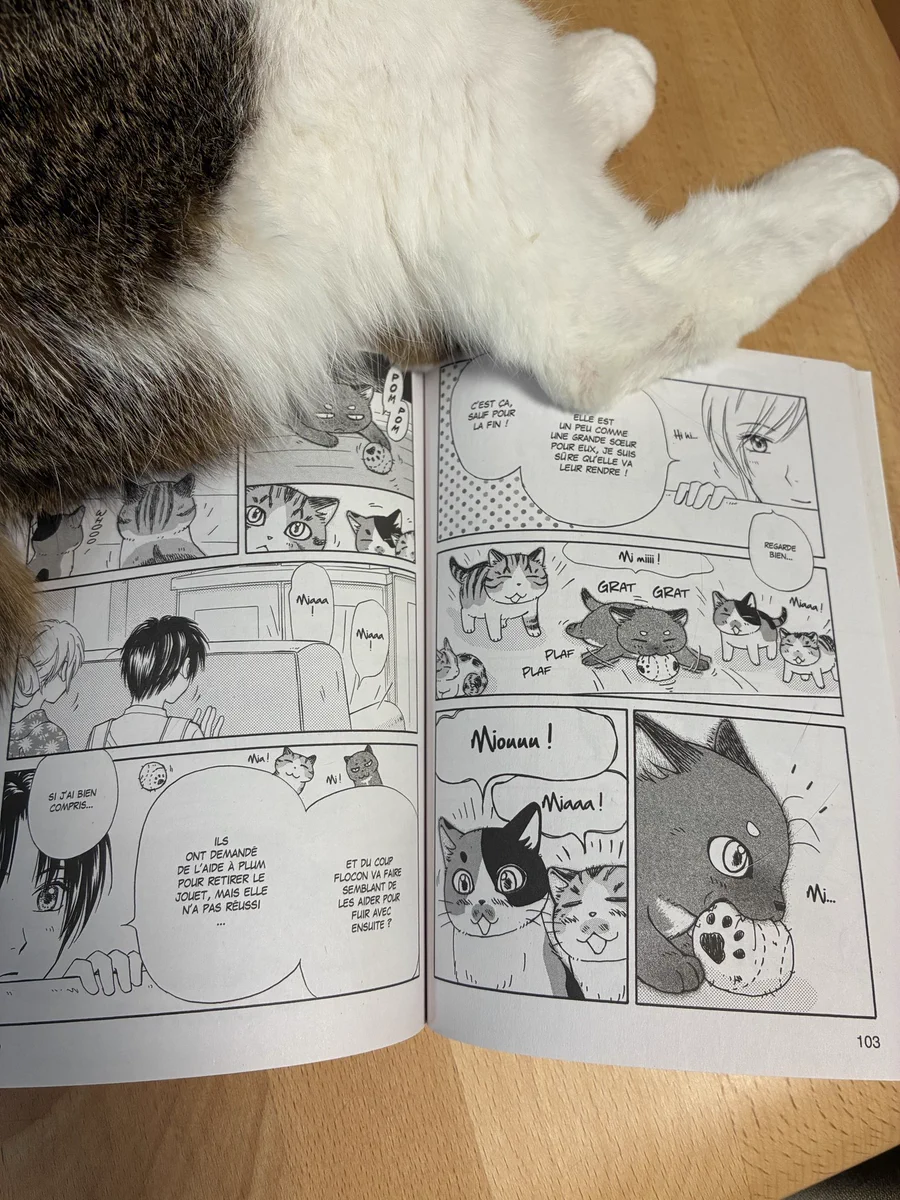 ほしのなつみ「キジトラ猫の小梅さん」28巻発売中 (@kijitorashippo2) / X