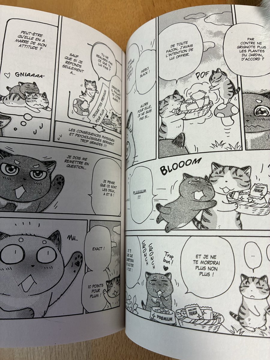 kijitorashippo2's tweet photo. 「キジトラ猫の小梅さん」フランス語版が届いてました✨
読む方向が日本語版とは逆なので中の漫画部分のページは反転して印刷されます
フランス版、カラーの印刷がいつも綺麗で嬉しいです^ ^

写真撮る時にハナちゃんがやって来て漫画を押さえてくれました^ ^
たぶん撫でられに来たんですけどね… https://t.co/kxjeRxdpE2