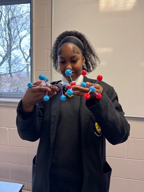 Bonus Pastor Catholic College tweet media