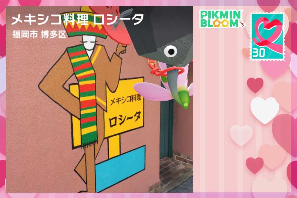 福岡遠征の思い出の子達が次々と育ってポスカもって帰ってくる😊
ロシータの子は逆さでした🪨🫶🏻💗*゜
知らんうちにポスカの枠も課金しとるよ🤣
ピクミンもポスカもポイできん！
 #ピクミンブルーム