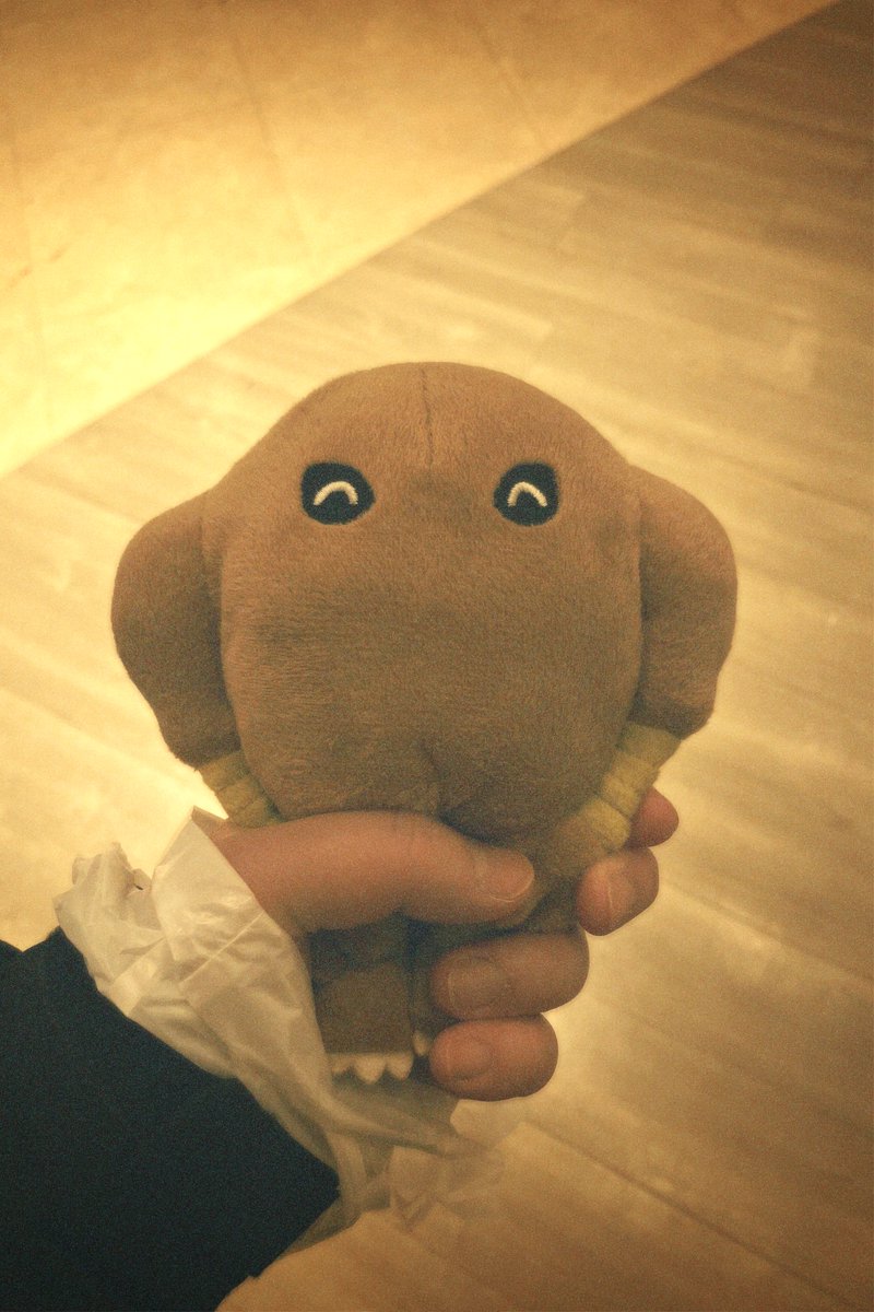 Post by らがん on X: 買っちゃった☺️