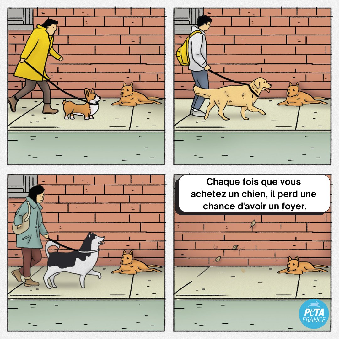 PETA France tweet media