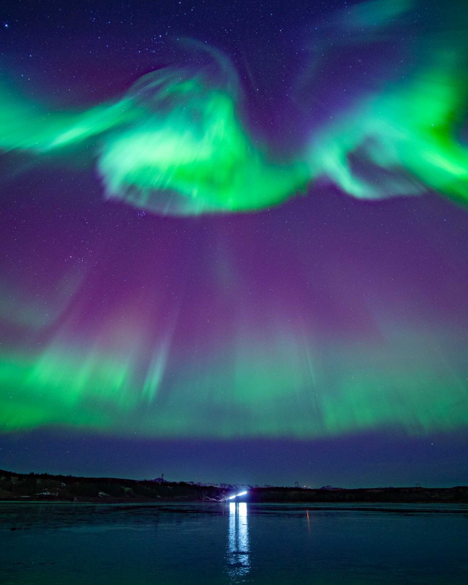BusTravel Iceland tweet media