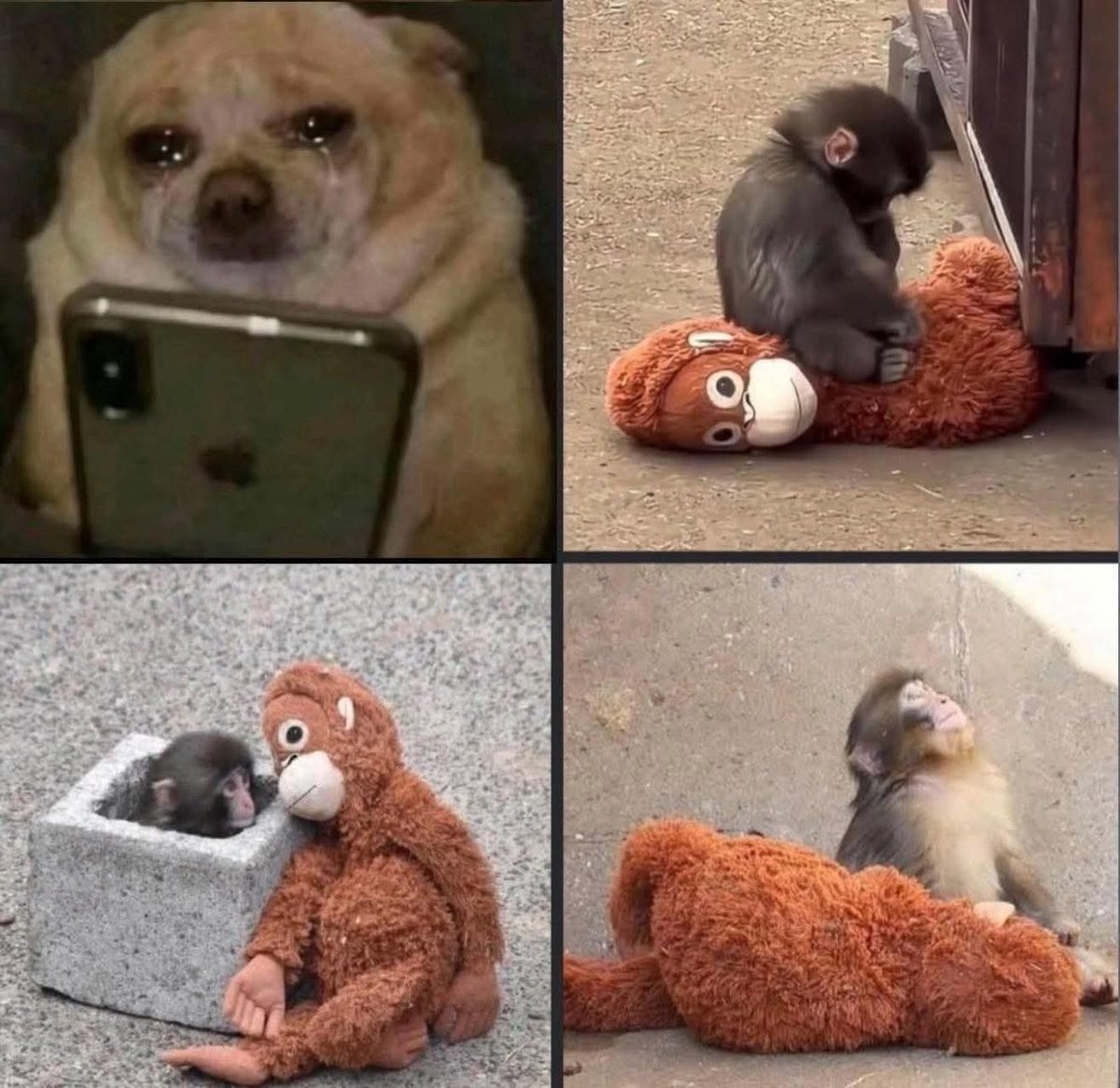 Lonely🥀 tweet media