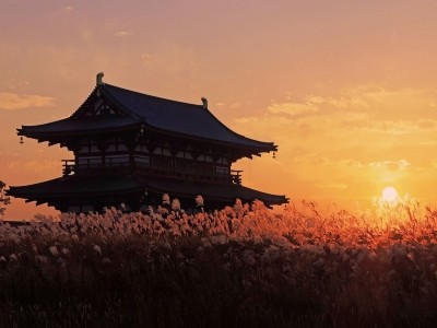 稀羅浩路（キラコウジ） tweet media