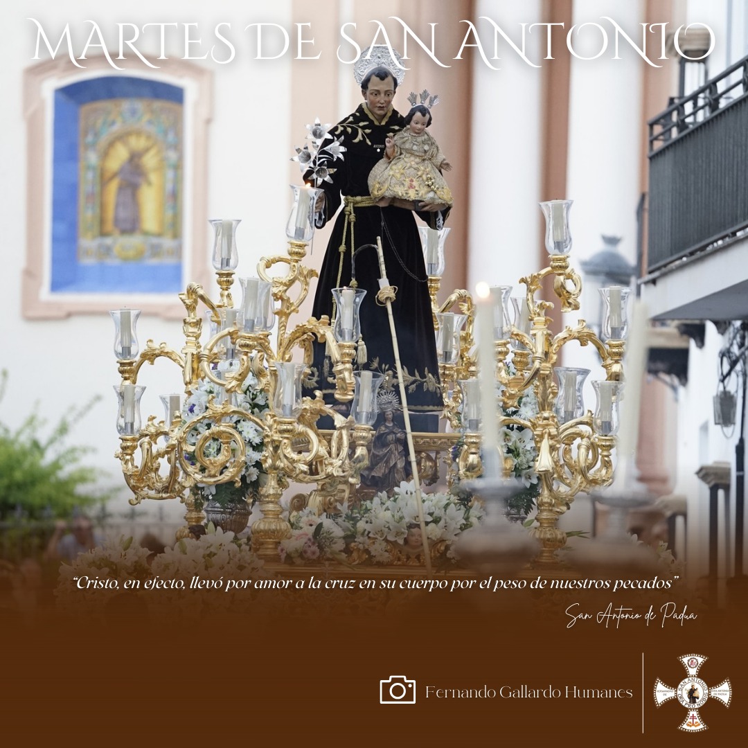 🟤⚪🟤 MARTES DE SAN ANTONIO | “Cristo, en efecto, llevó por amor a la cruz en su cuerpo por el peso de nuestros pecados”.

📸 Imagen de Fernando Gallardo Humanes.

#elpaduano #santodetodoelmundo #DoctorDeLaIglesia #MartesdeSanAntonio