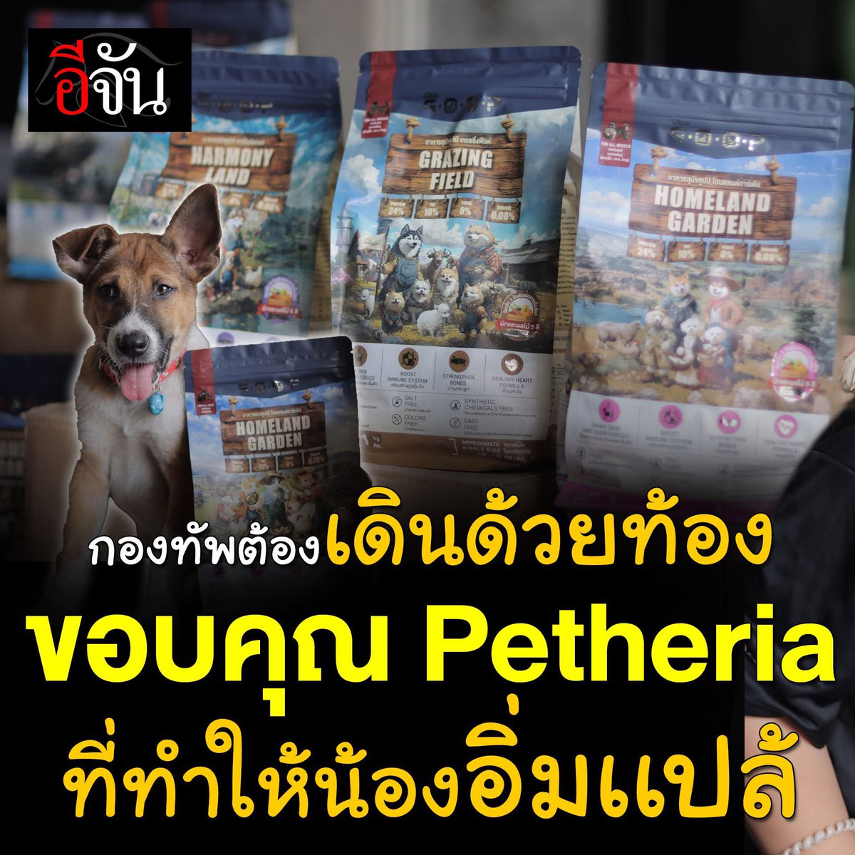 petheriaFamily's tweet photo. 🥰 ขอบคุณทางเพจมาก ๆ เช่นกันนะคะ ที่ช่วยส่งต่ออาหารให้น้อง ๆ ที่ขาดแคลน 🙏🙏

Cr. https://t.co/vyXy8OKxZR

#petheria #qoop
#VetOLOGY #WILDOLOGY
#เพราะสัตว์เลี้ยงคือครอบครัว https://t.co/fsHp0PM3ks