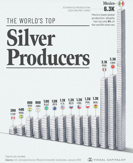 Mexico, the world’s largest silver producer, is facing escalating cartel violence.

Following reports of the killing of a cartel leader, there have been clashes between the military and cartels

This comes after 10 employees of Vizsla were abducted and killed.

Mexico is by far