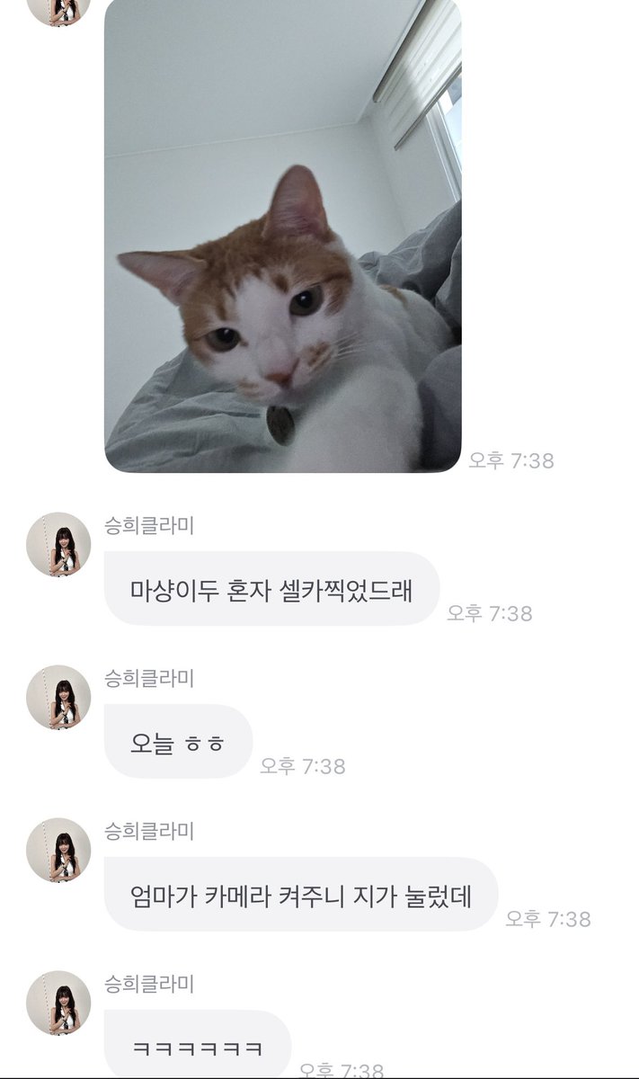 셀카 찍는 고양이 처음 봄..;;