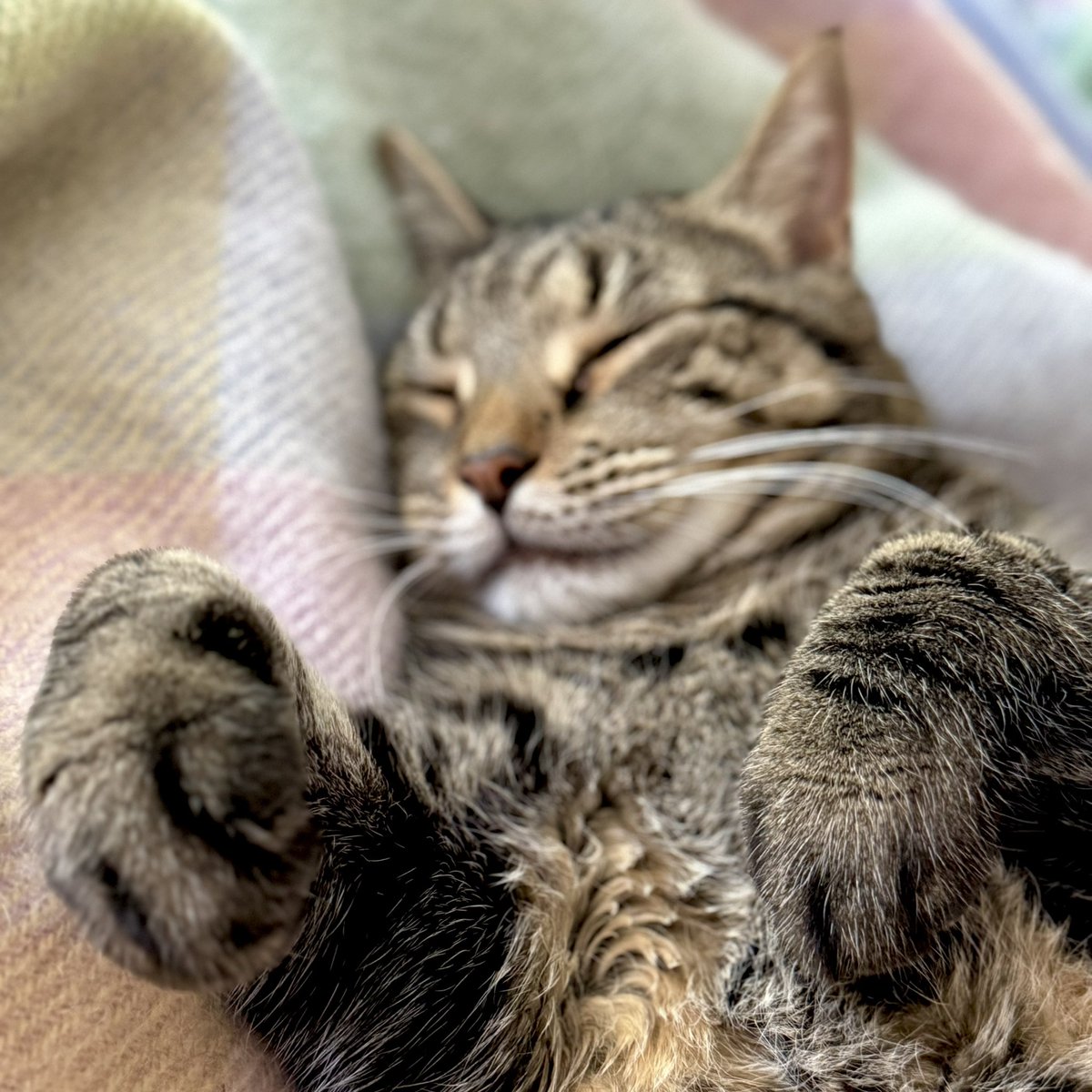 They Might Be Giants tweet media