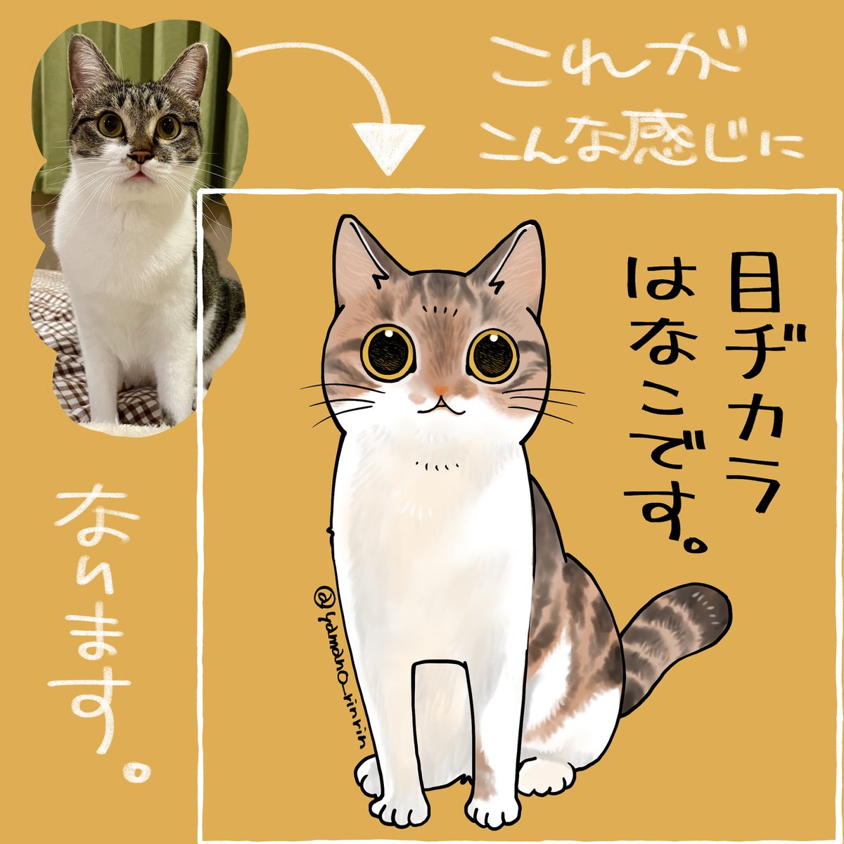 山野りんりん🐈お仕事募集中 tweet media