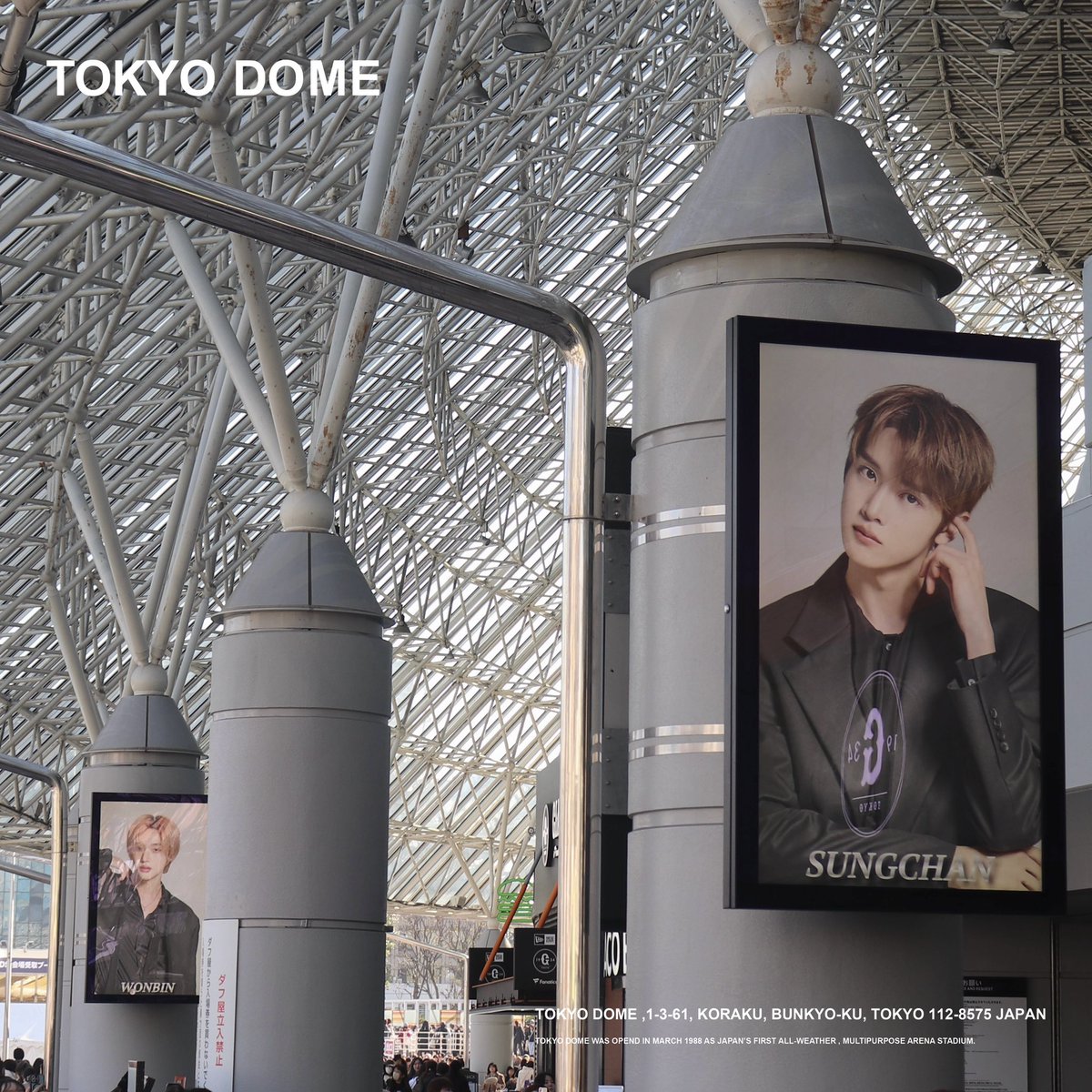 TOKYO DOME｜東京ドーム tweet media