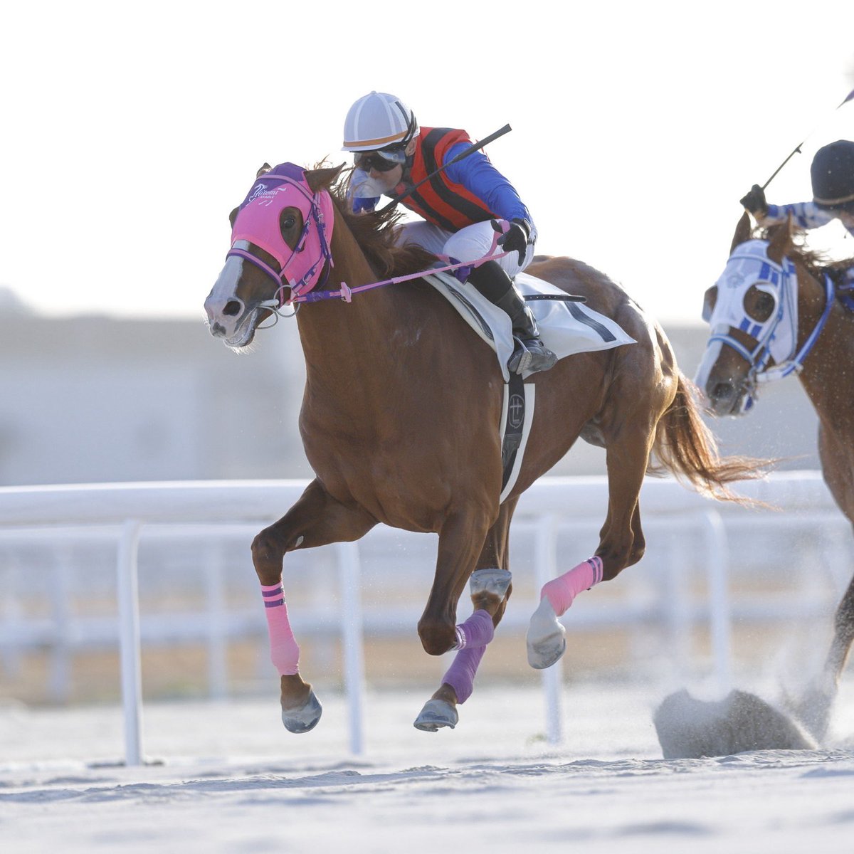 Zakkey(ザッキー)@アラサー主任/ライター (@LennonZakkey) / Posts / X