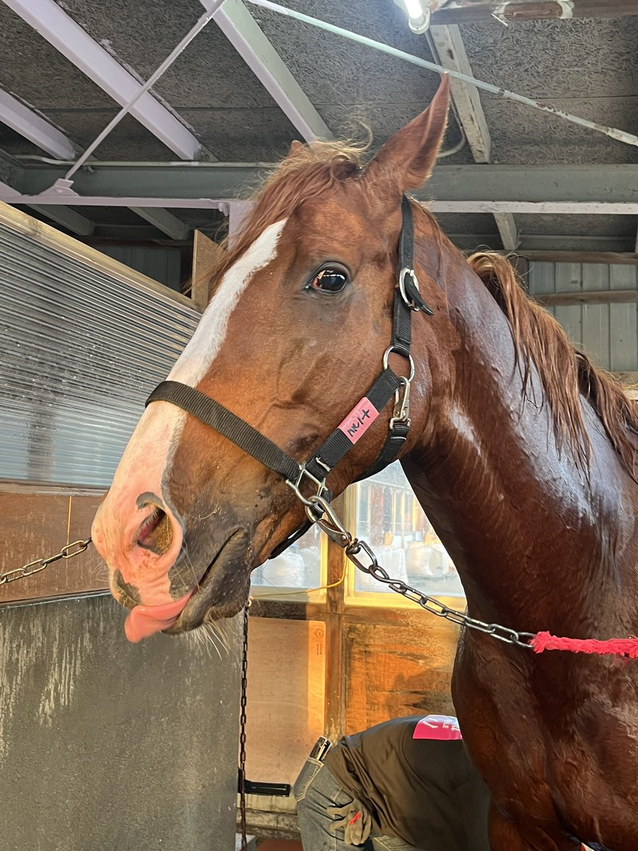 Zakkey(ザッキー)@アラサー主任/ライター (@LennonZakkey) / Posts / X