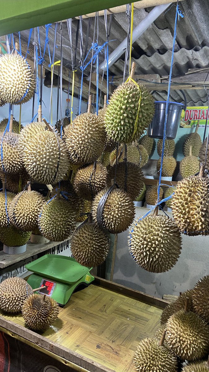 #durian