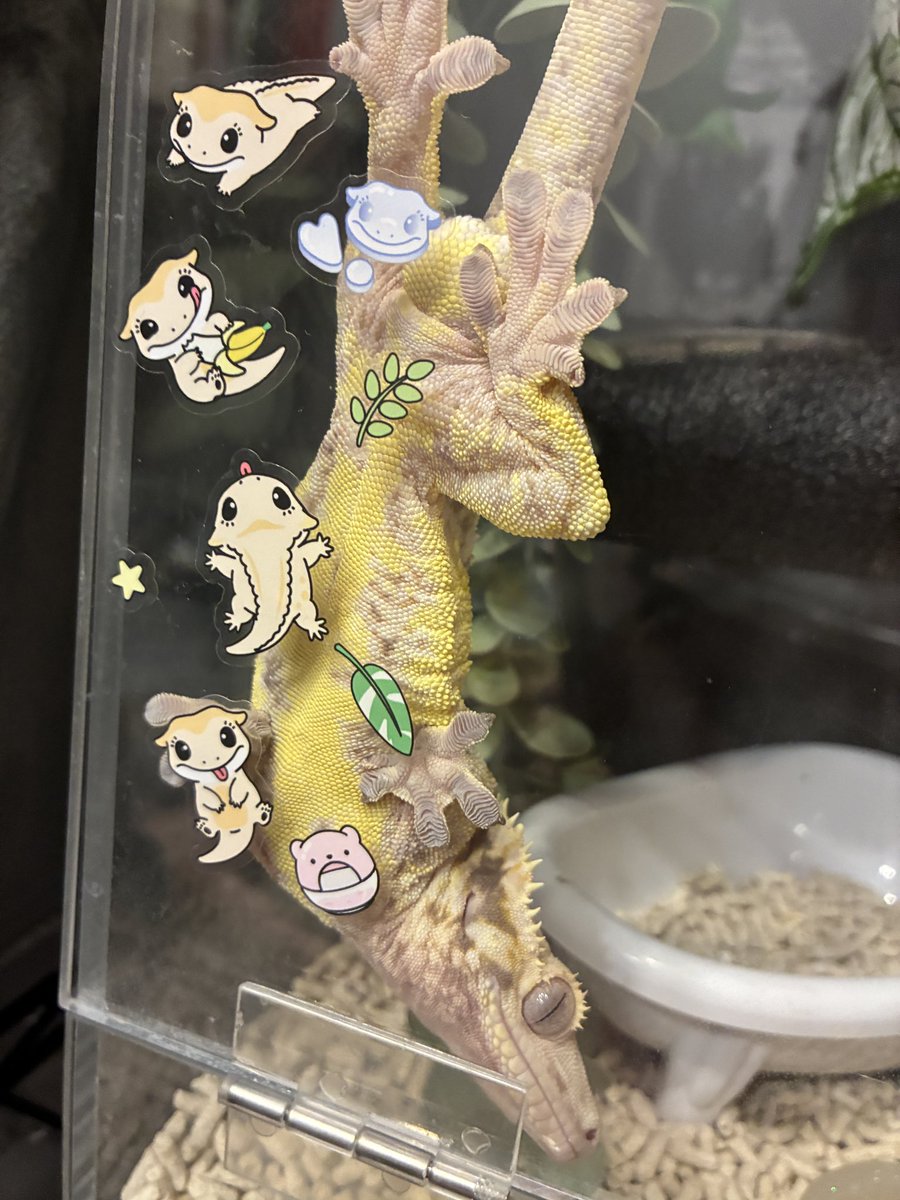 いいね、その態勢