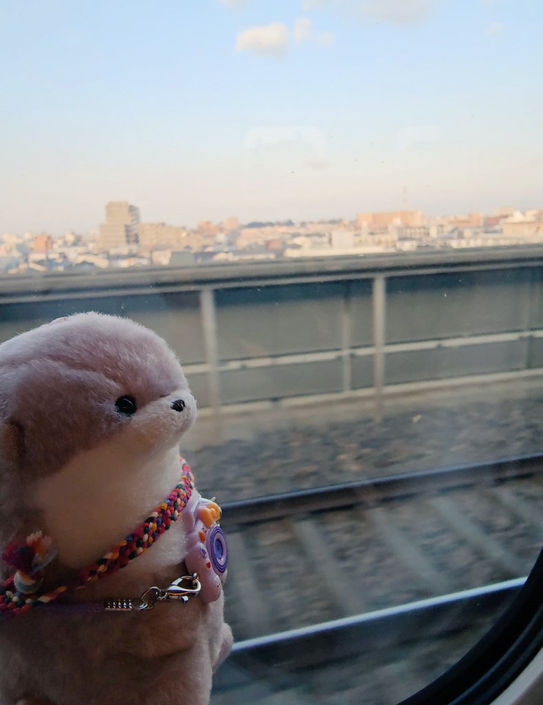 sj_elf_7221's tweet photo. 主さんとね、新幹線で函館にきたよ！
陸路で行くのが憧れだったんだって✨
たのしい〜〜〜😆

#ぬい撮り #ぬい活 https://t.co/MBkjdIIeye