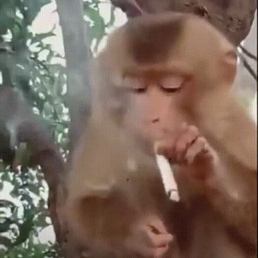 takemybear's tweet image. คนอื่นได้อั่งเปาmeb 1500 บ้าง 150 บ้าง พอกุไปกดได้ 0.5 ไม่รู้จะซื้อเล่มไหนดีเลย