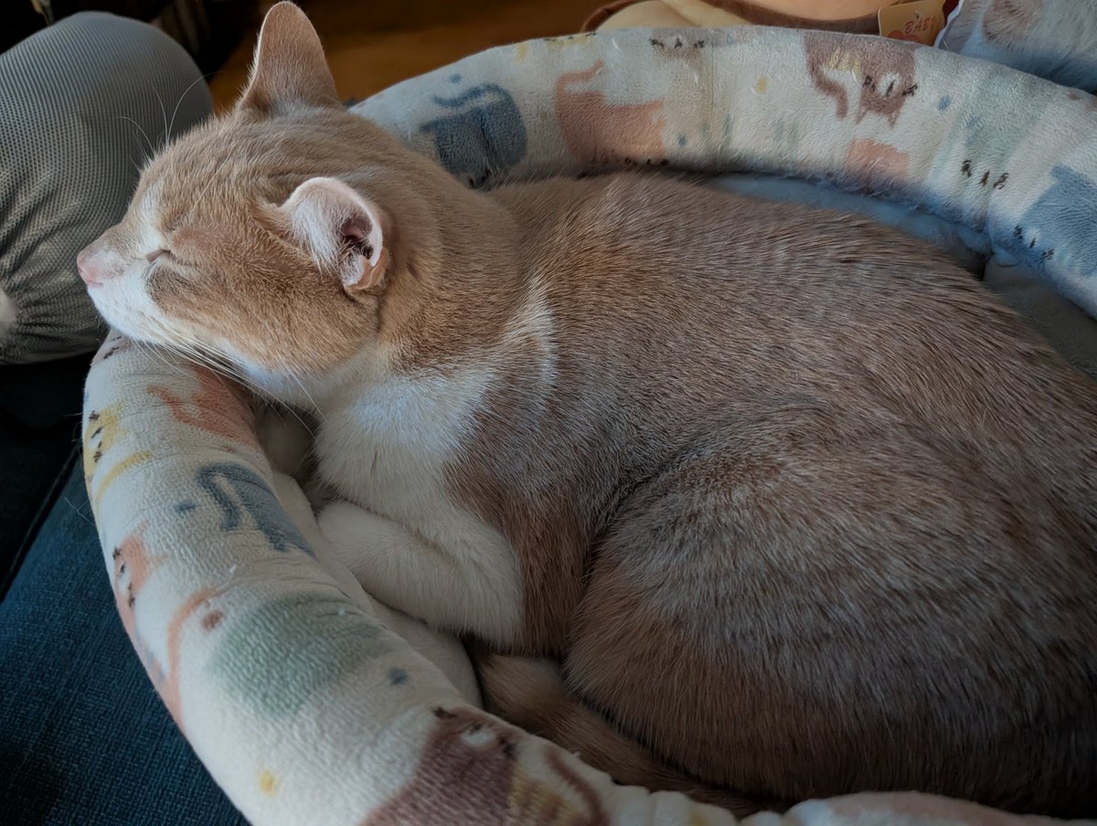 Jon Uleis tweet media