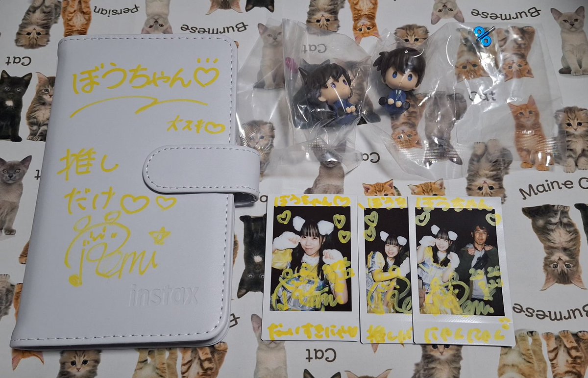 猫耳れみたん可愛くてメロメロになっちゃった‼️ソロチェキ一番の