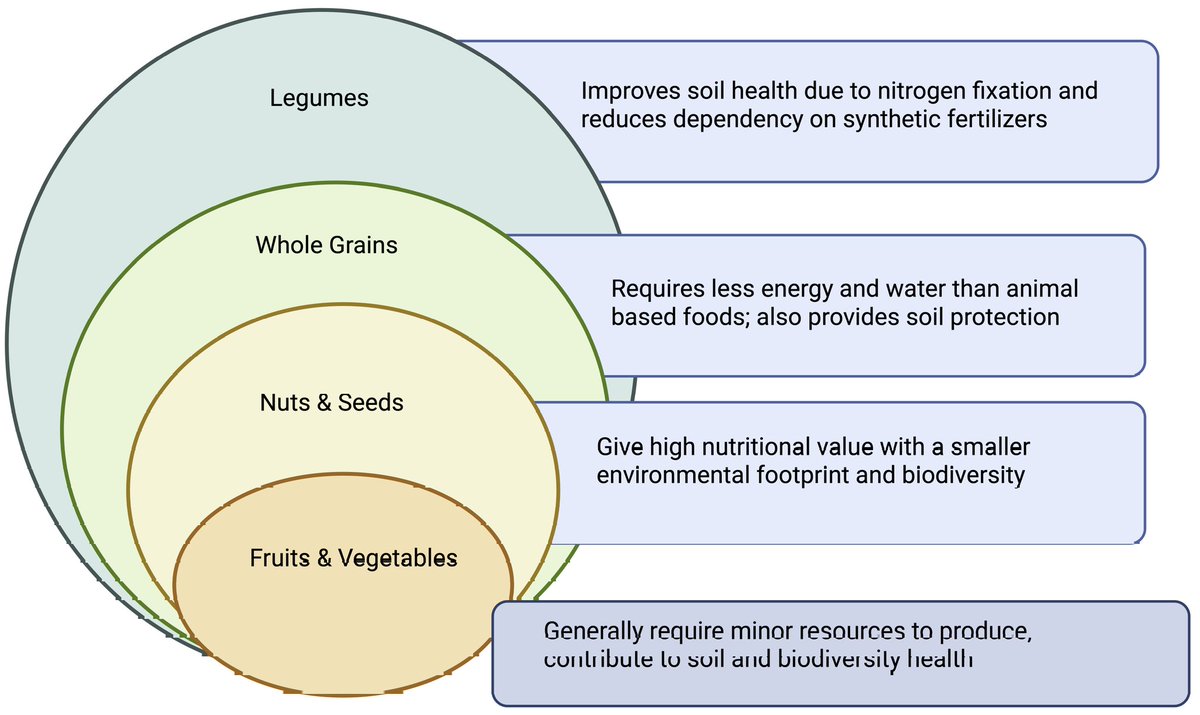 JabetEditor's tweet photo. Exploring the impact of #plantbaseddiets on #environmental #sustainability and #humanhealth

https://t.co/l8CHGAK7sJ https://t.co/s5v7wpJKKF