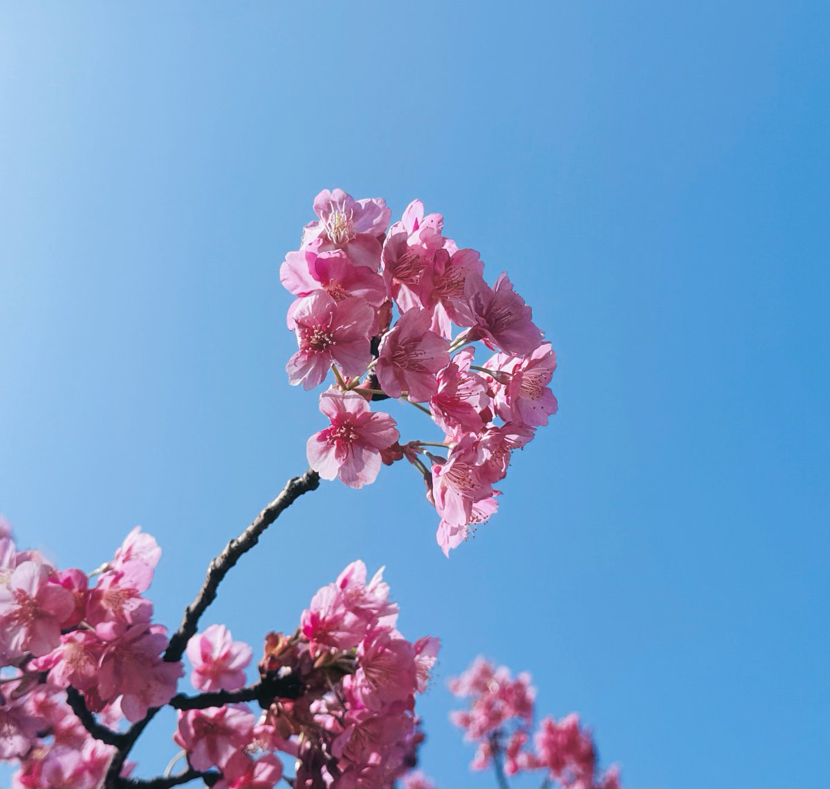 sasakure.UK (@sasakure__UK) / Posts / X sasakure.UK (@sasakure__UK) / Posts / X