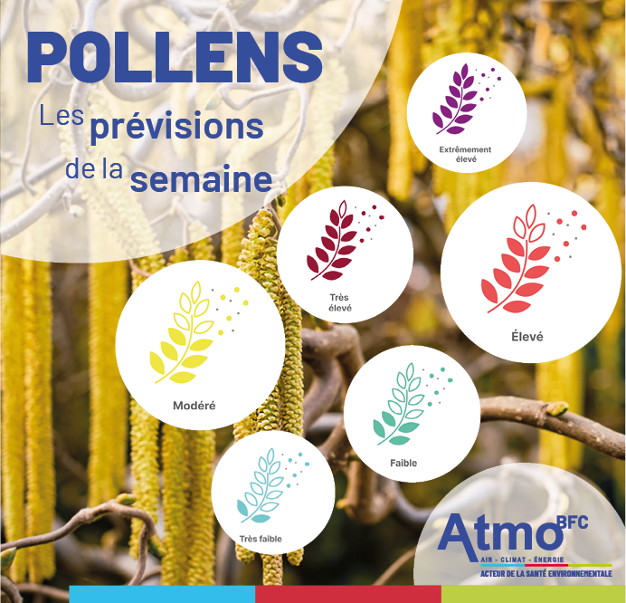 Atmo BFC tweet media