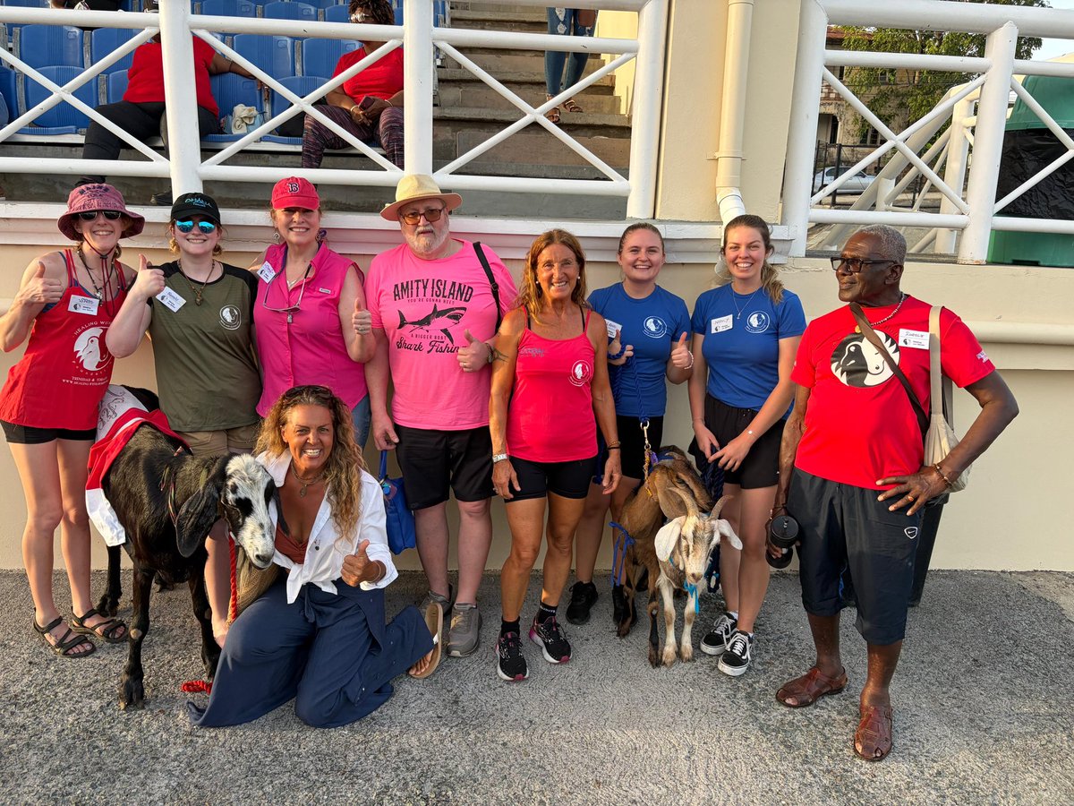 Sarah GeeStor tweet media