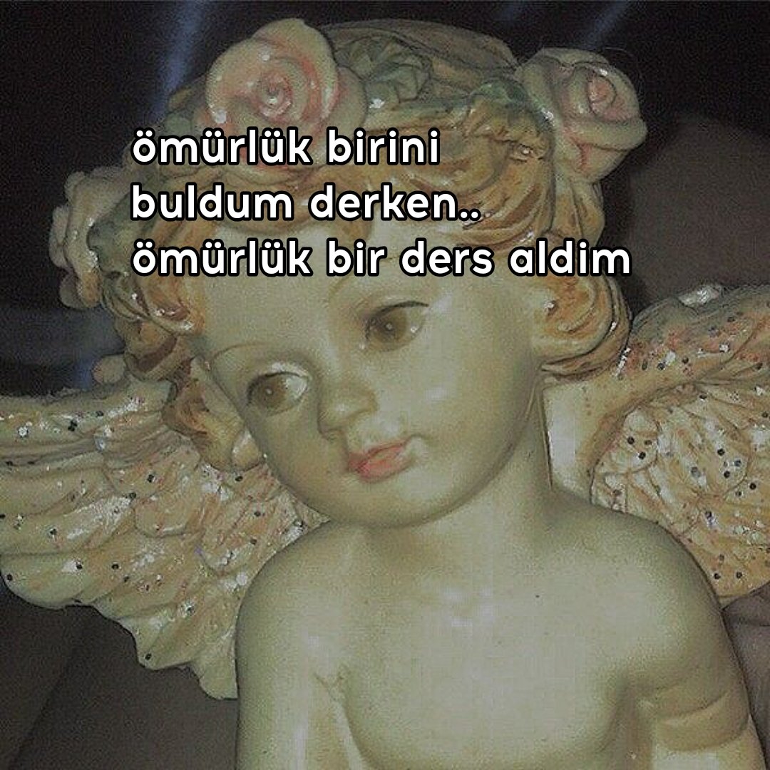 cansu yavuz tweet media