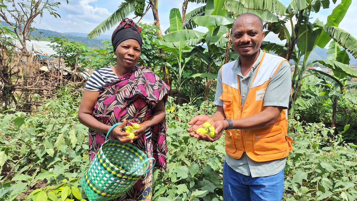 <a href="/Gitega/">Province Gitega</a> #Bukeye: During 2025, households were reached by <a href="/WVBurundi/">World Vision Burundi</a> with trainings on the Empowered World View approach encouraging them to engage in income generating activities using locally available resources. Since then, families testify improved well-being in their homes.