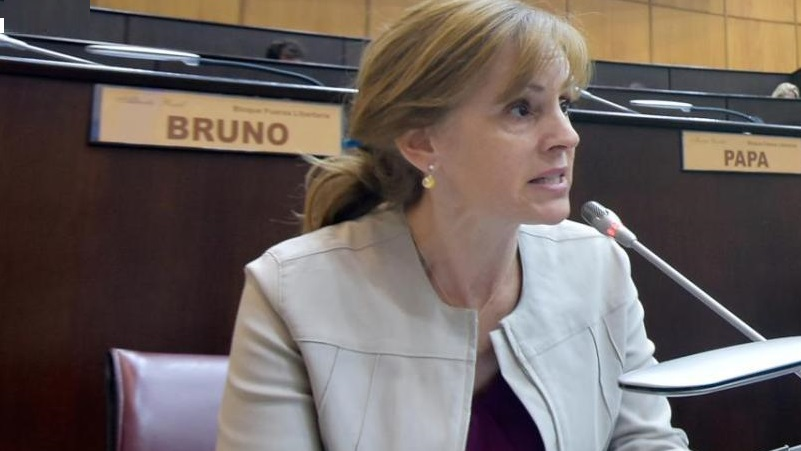 Parrilli rechazó la baja de edad de punibilidad: «Meter presos a niños agrava la situación» neuquenweb.com/parrilli-recha…