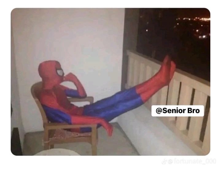 If you want an immediate follow back, check the comments section first. When you see replies like ‘FB’ and ‘Done,’ go ahead and follow the account. Trust me, your account will grow quickly