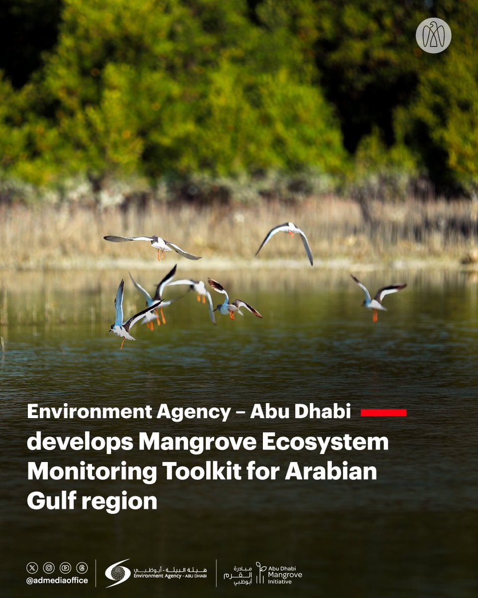 مكتب أبوظبي الإعلامي tweet media