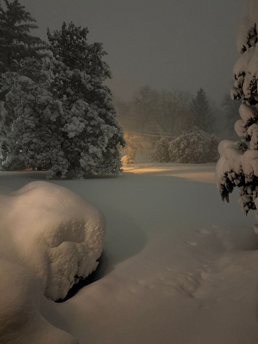 Jon Bramnick tweet media