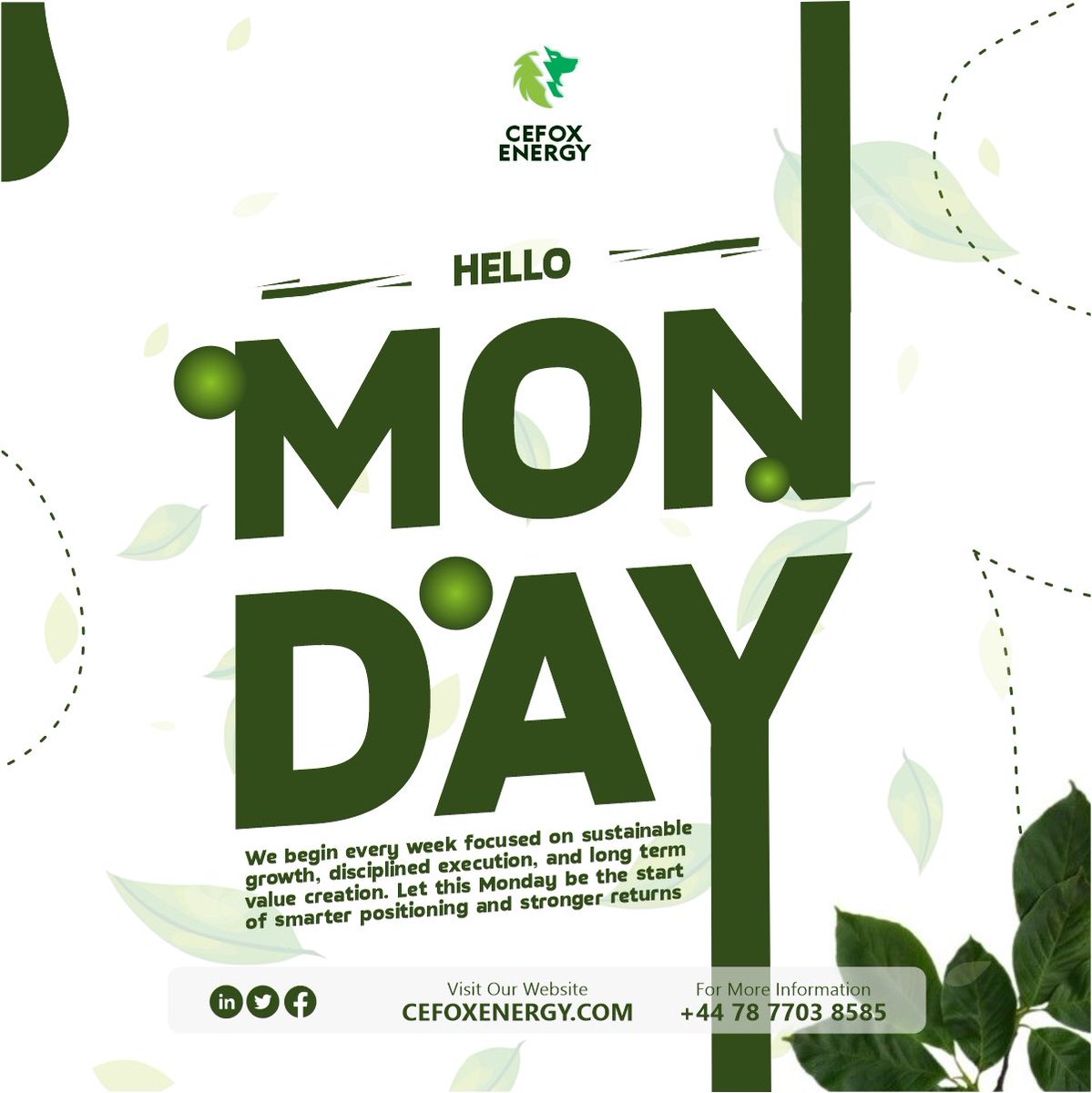 Cefox Energy tweet media