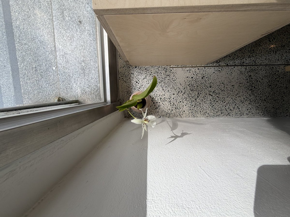 ᵖᵘˡ tweet media