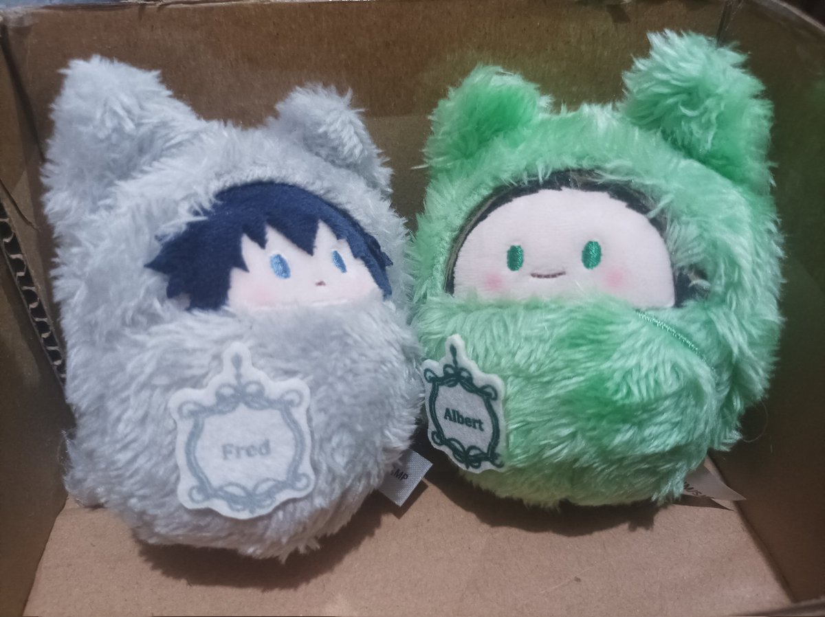 3g0pii's tweet photo. Non-i7 related but my babies are home!!!! 💕 💕 💕 Udah cukup lama pengen beli merch official MTP dan akhirnya kesampaian dengan bantuan Kak Ru @tokottan 🫶 🫶 🫶 

Thank u kak udah bantu pulangin si abang (dan dapat plus sisa Fred juga)!! 🫶 🫶 https://t.co/QhIuJMUMTc