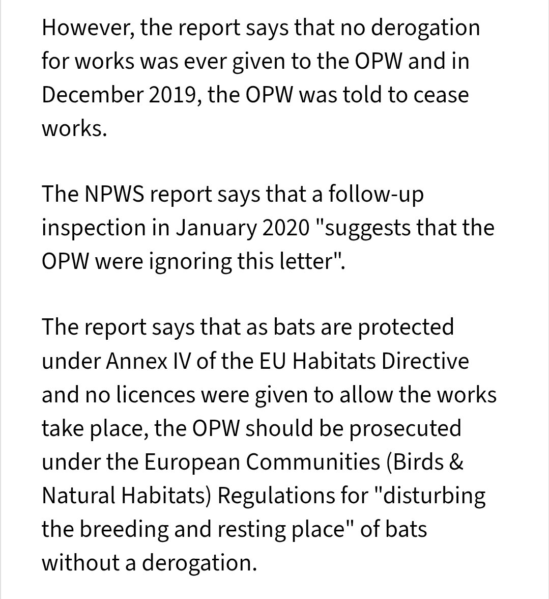 Lynn Boylan 🍷📖🐾 tweet media