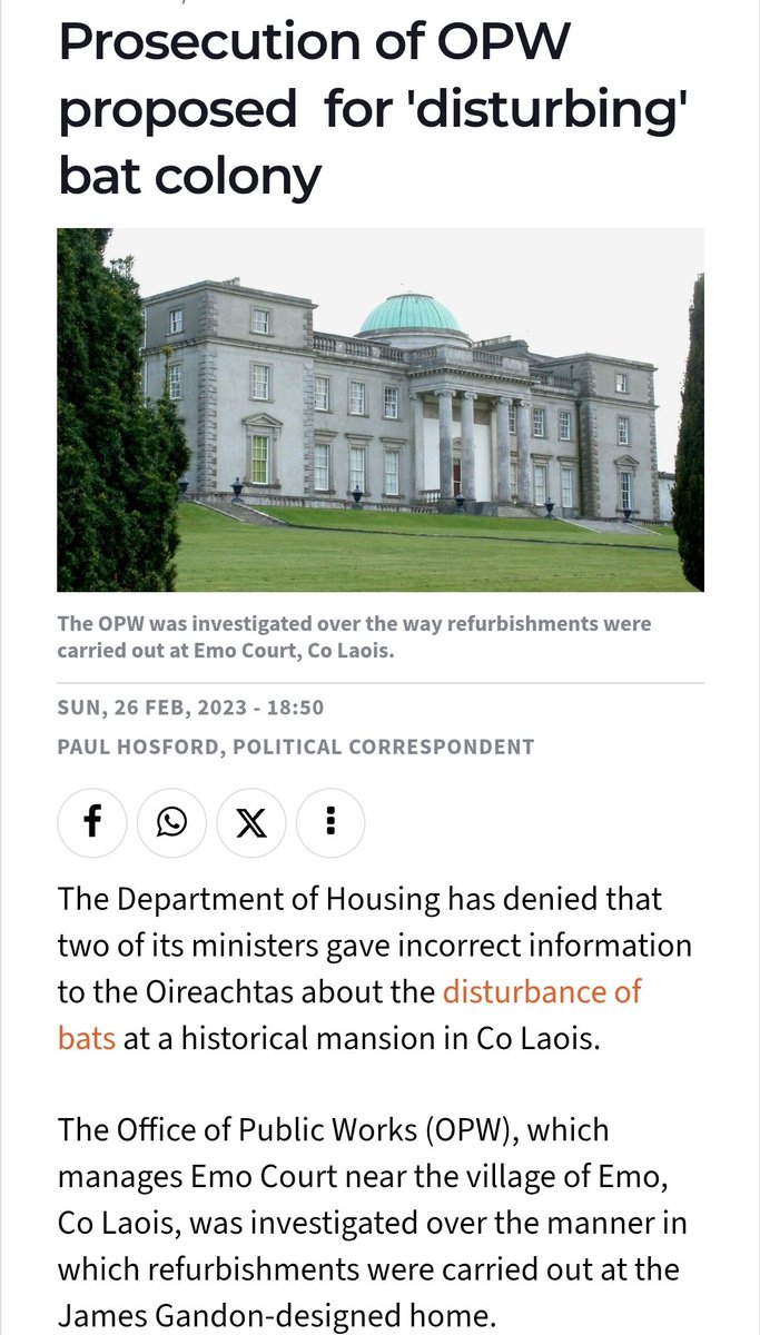 Lynn Boylan 🍷📖🐾 tweet media