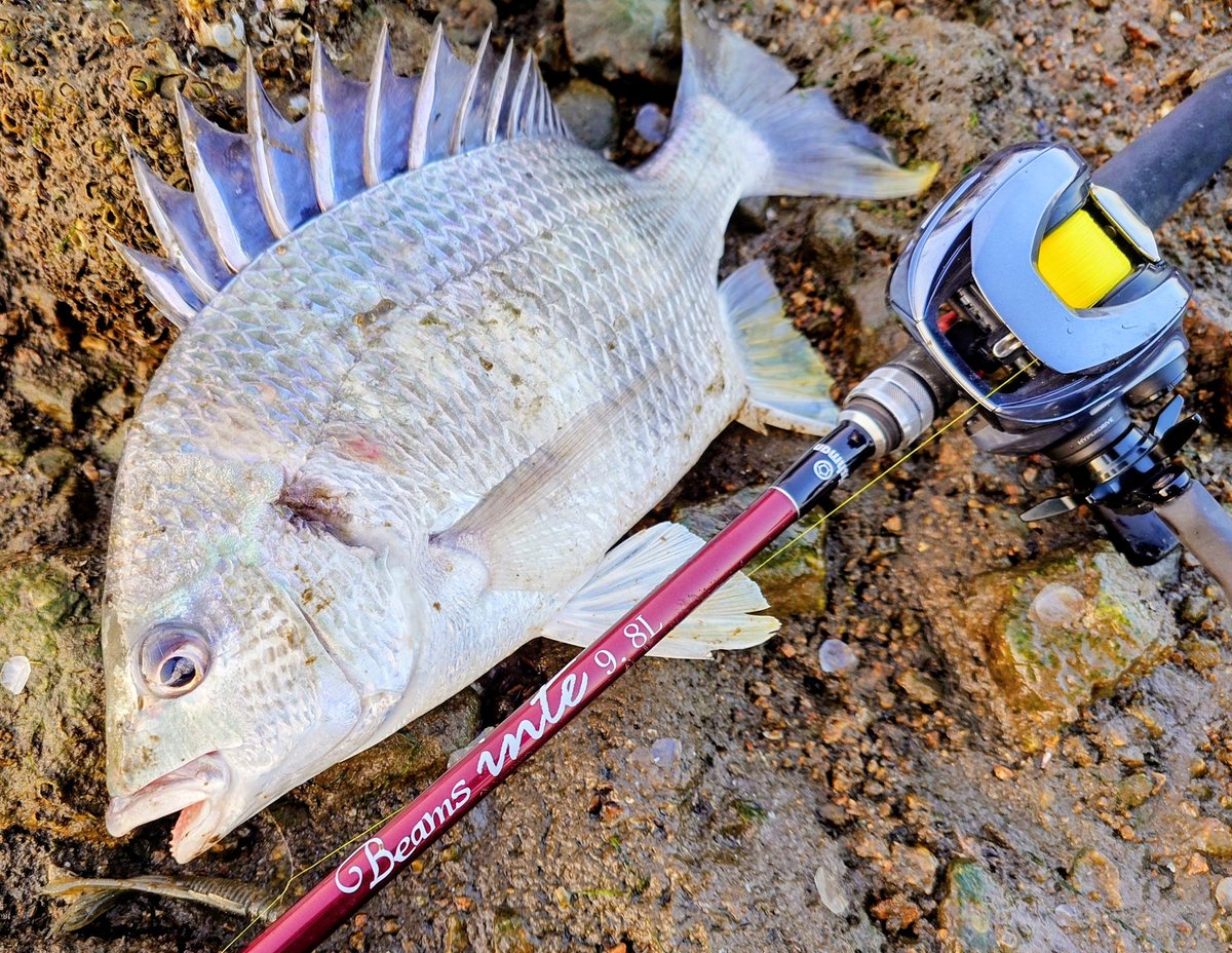 TOP☆BATTLER (@TOPBATTLER) / Posts / X