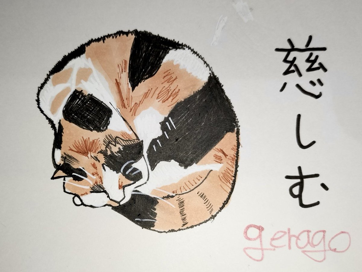 にゃんころもち (@sakura_nyancolo) / Posts / X